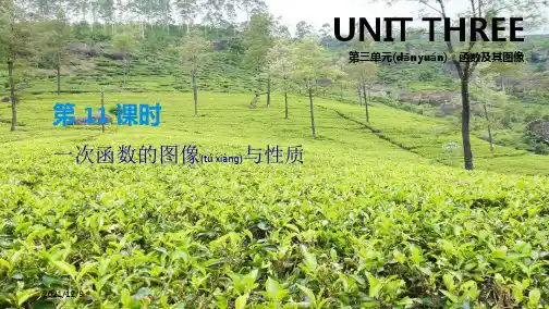 中考数学总复习 第三单元 函数及其图像 第11课时 一次函数的图像与性质课件