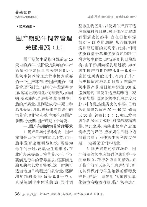 围产期奶牛饲养管理关键措施(上)