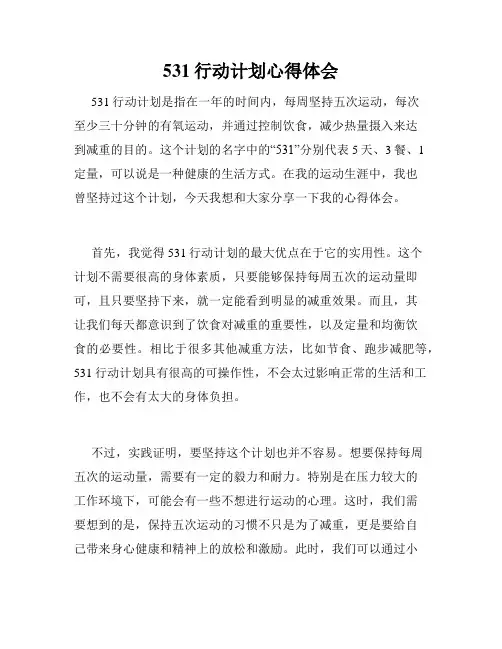531行动计划心得体会