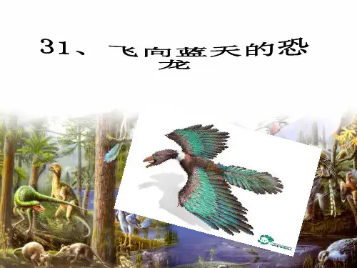 31、飞向蓝天的恐龙(完美版)PPT课件