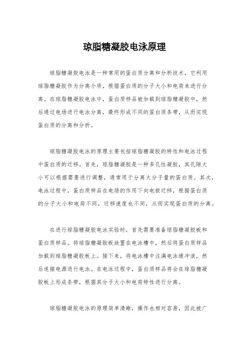琼脂糖凝胶电泳原理