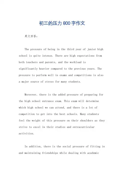 初三的压力800字作文