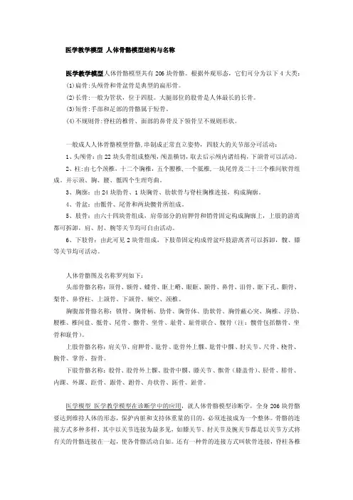 医学教学模型人体骨骼模型结构与名称