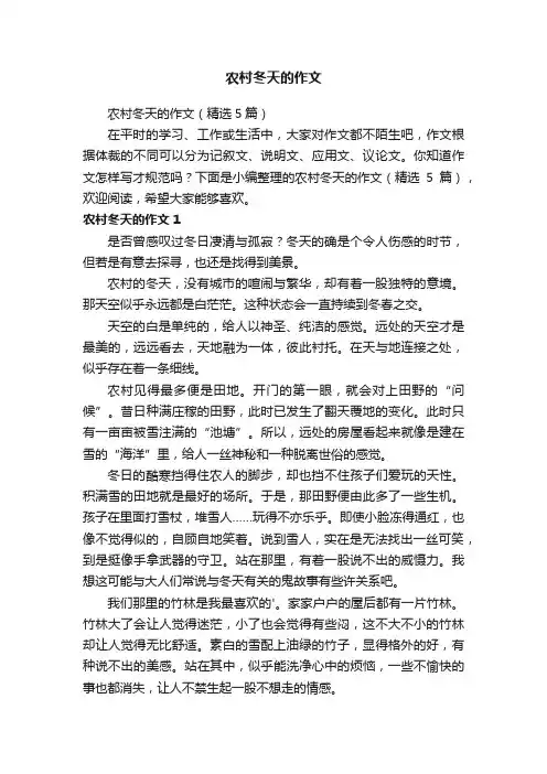 农村冬天的作文（精选5篇）