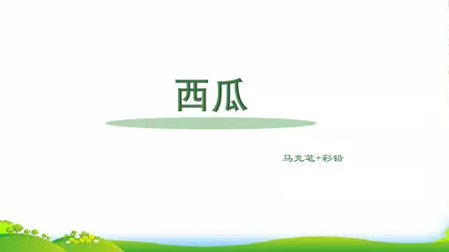 少儿9-10岁 西瓜(马克笔+彩铅)—美术课件