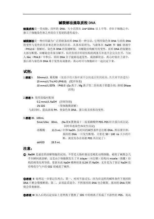 碱裂解法提取质粒DNA
