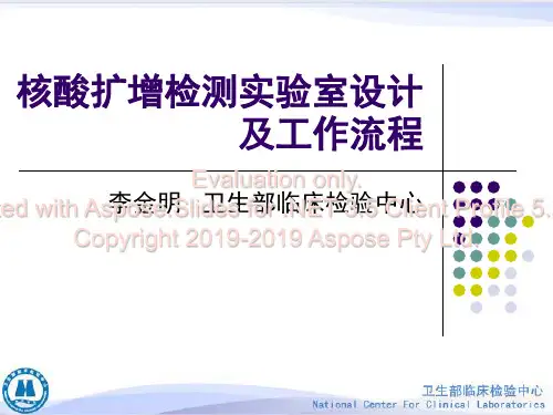 核酸扩增检测实验室设计及工作流-PPT精品文档