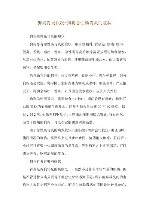 狗狗胃炎状况-狗狗急性肠胃炎的症状