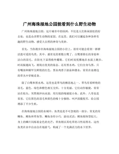 广州海珠湿地公园能看到什么野生动物