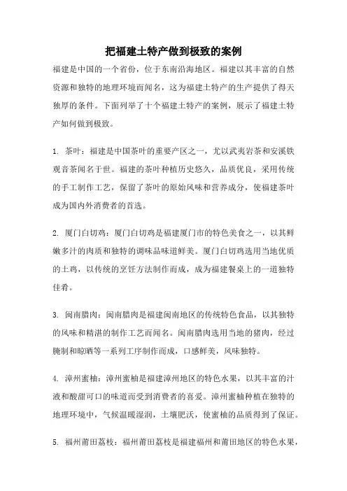 把福建土特产做到极致的案例