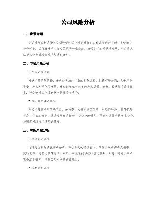 公司风险分析