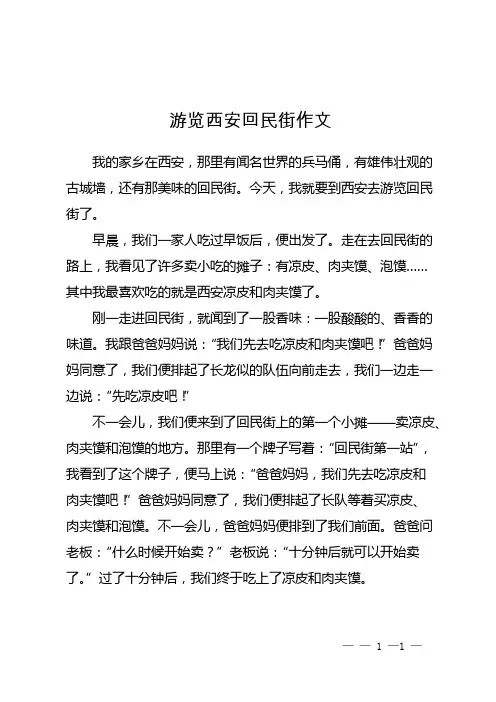 游览西安回民街作文