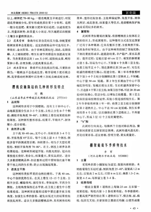 棚架葡萄冬季修剪技术