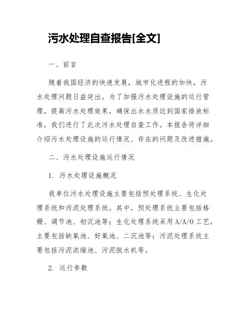 污水处理自查报告[全文]