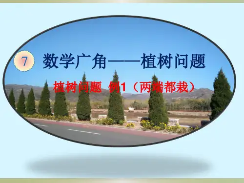 五年级数学上册课件-7植树问题人教版(共27张PPT)