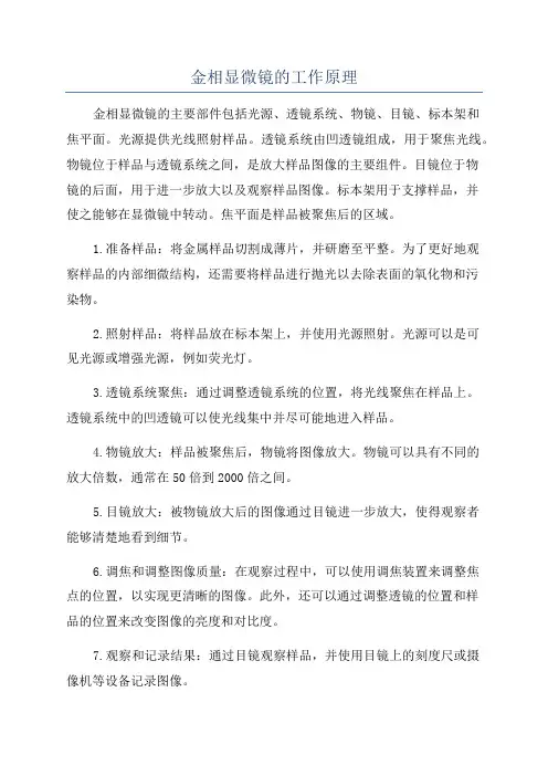 金相显微镜的工作原理