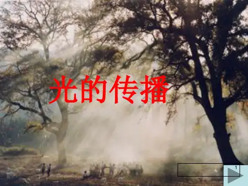 教科版物理八年级上册教科版上册4-1光源光的传播课件