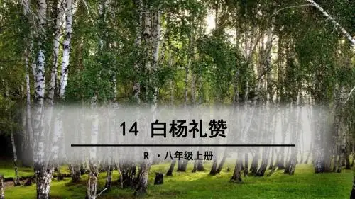 白杨礼赞(1)优秀PPT课件