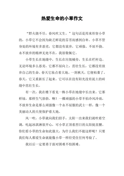 热爱生命的小草作文