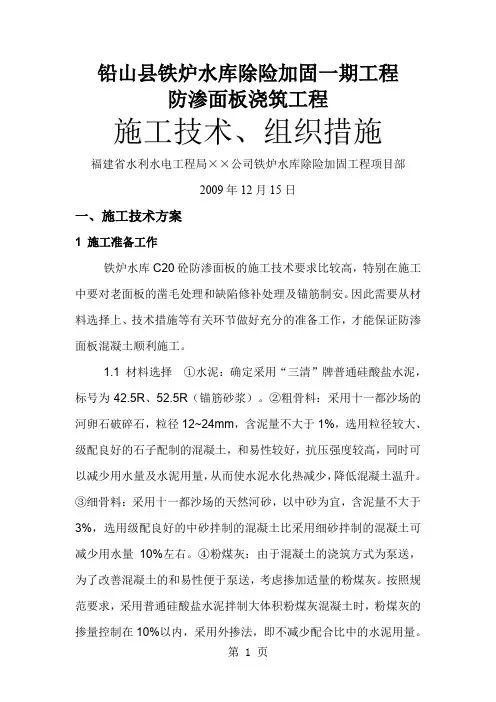 防渗面板施工技术方案word精品文档9页