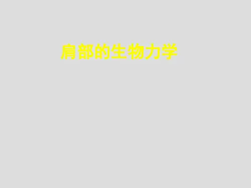 肩部的生物力学
