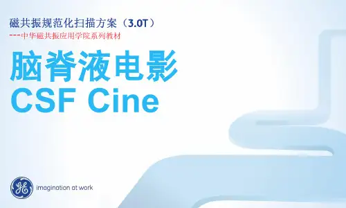 3.0T.磁共振.MRI.CSF规范化扫描方案