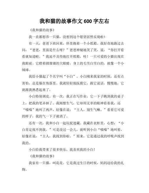 我和猫的故事作文600字左右