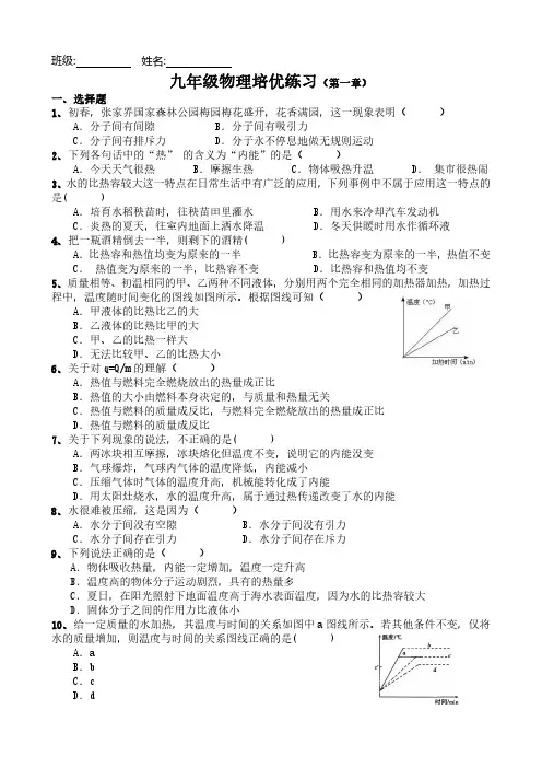 九年级物理培优练习(第一章)