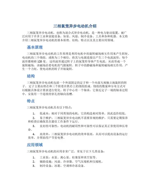 三相鼠笼异步电动机介绍