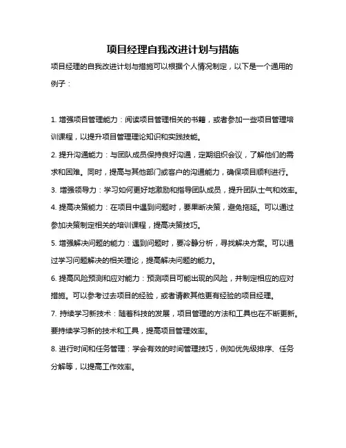 项目经理自我改进计划与措施