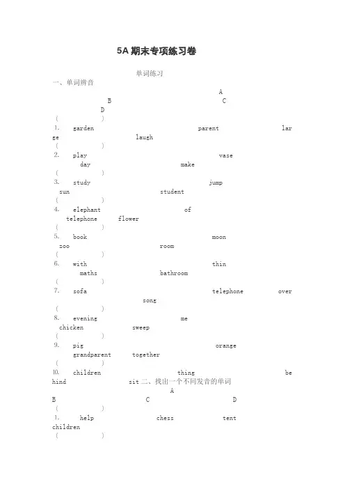 5A期末专项练习1
