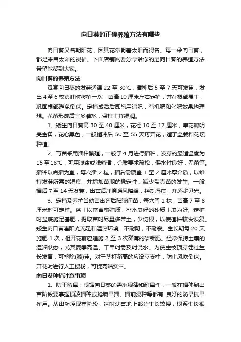 向日葵的正确养殖方法有哪些