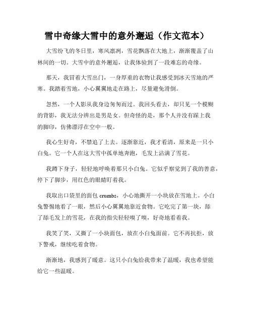 雪中奇缘大雪中的意外邂逅(作文范本)