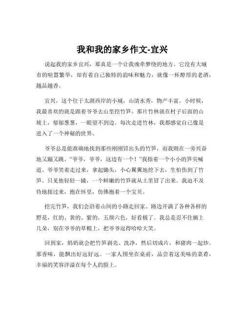 我和我的家乡作文-宜兴