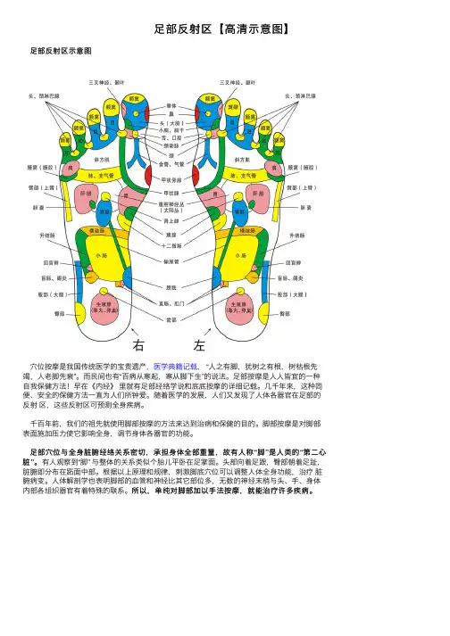 足部反射区【高清示意图】