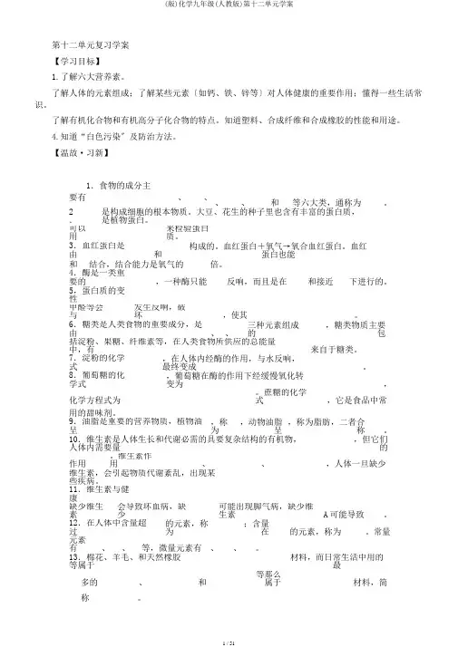 (版)化学九年级(人教版)第十二单元学案