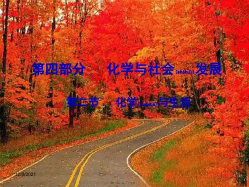 中考化学 第四部分 化学与社会发展 第二节 化学与生活复习课件1