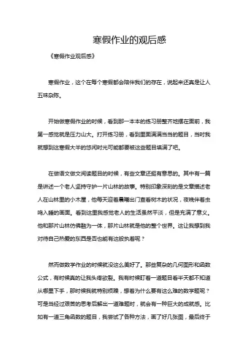寒假作业的观后感
