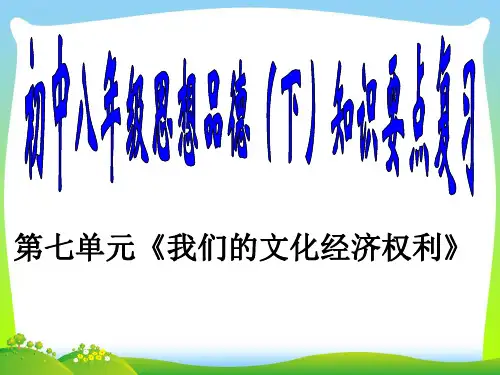 我们的文化经济权利-课件