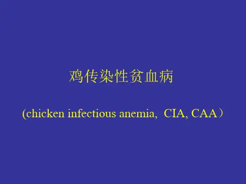 鸡传染性贫血病课件