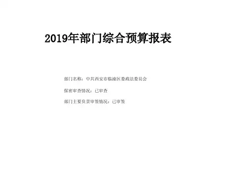 2019年部门综合预算报表
