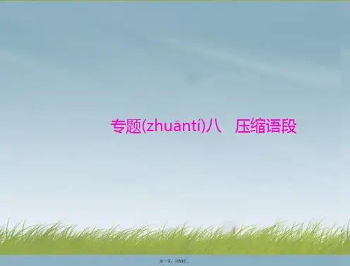 高考语文总复习 第一部分 专题八 压缩语段课件 新人教版