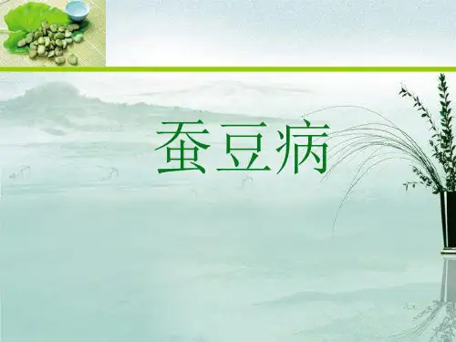 蚕豆病