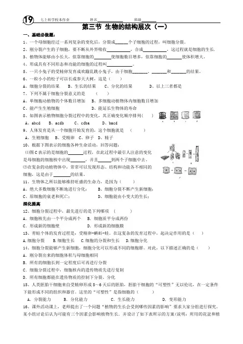 生物体的结构层次 练习题