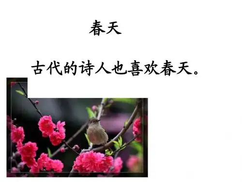 《春晓》课件