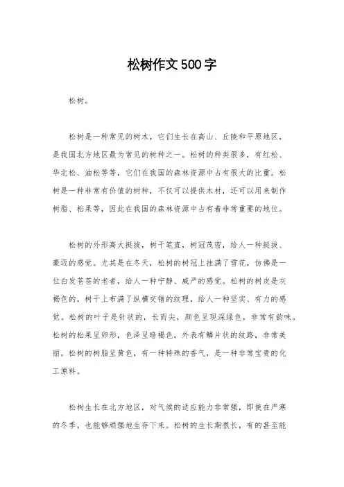 松树作文500字