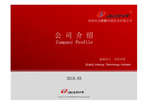 金麒麟公司简介 2018