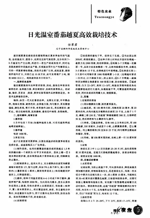 日光温室番茄越夏高效栽培技术