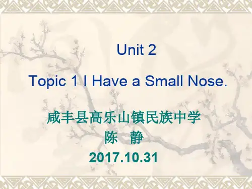 英语仁爱版七年级上册《Unit 2 Looking Different Topic 1 I h...》课件公开课 (3)