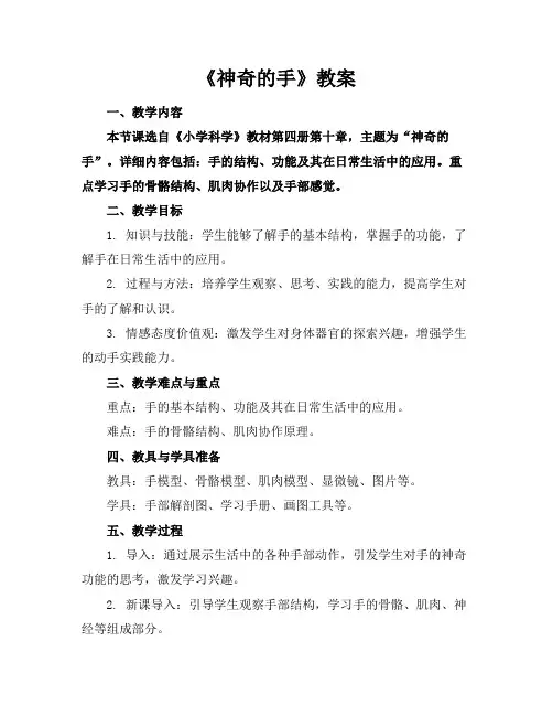 《神奇的手》教案